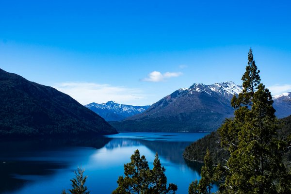 Top 10 bars à cocktails à découvrir à paris en 2025